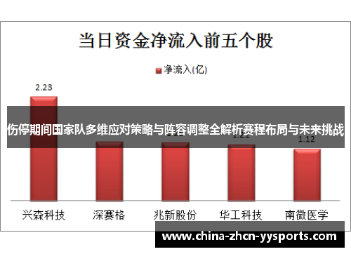 伤停期间国家队多维应对策略与阵容调整全解析赛程布局与未来挑战
