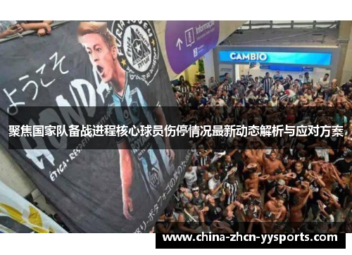 聚焦国家队备战进程核心球员伤停情况最新动态解析与应对方案